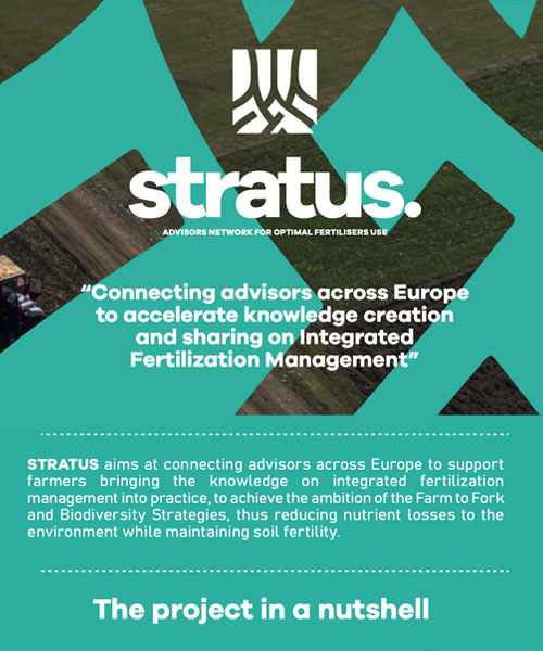 Stratus flyer