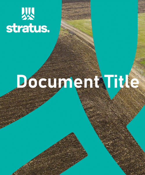 Stratus Presentation template