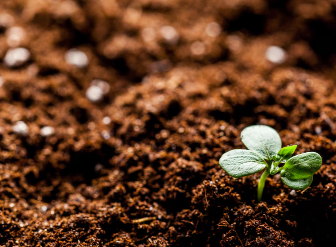 Good Practice on Biobased Fertilisers nº9: Solid fraction of a digestate from plant material