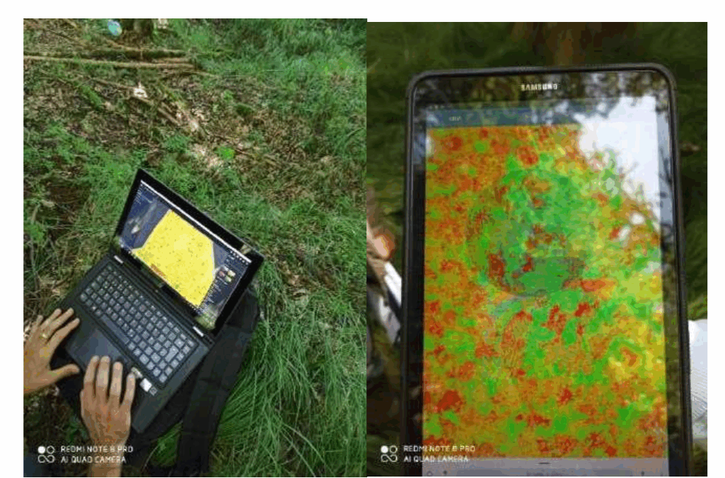 Good Practice on Precision Farming nº4: Use mobile apps and satellite images to identify fertilisation needs
