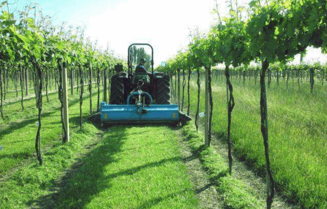 Good Practice on Soil Quality nº9: IOCONCIV introduction and optimization of techniques and systems for control of vineyard weed flora