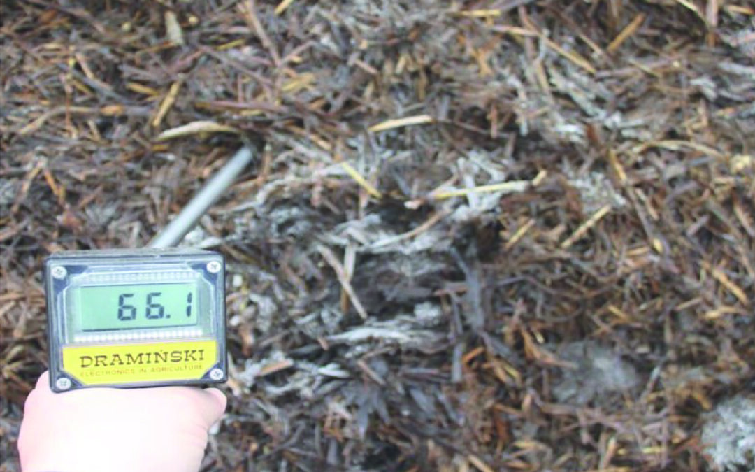 Compost: Gardner’s Black Gold