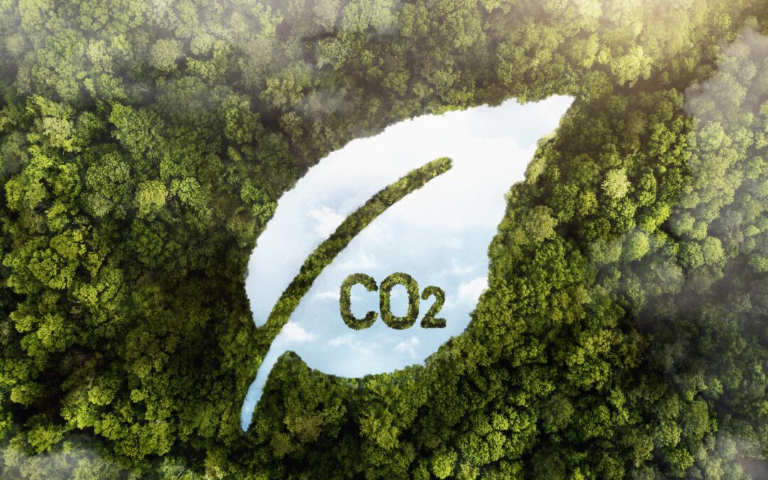 Research Innovation on Soil Quality nº15: Possibilities of using biogas digestate plants as fertilizers and soil improvers