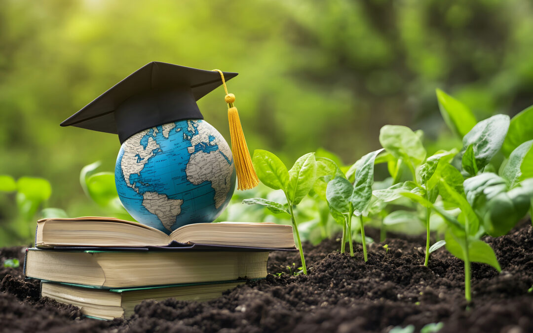 Fertilising the future: empowering trainers with multimedia tools