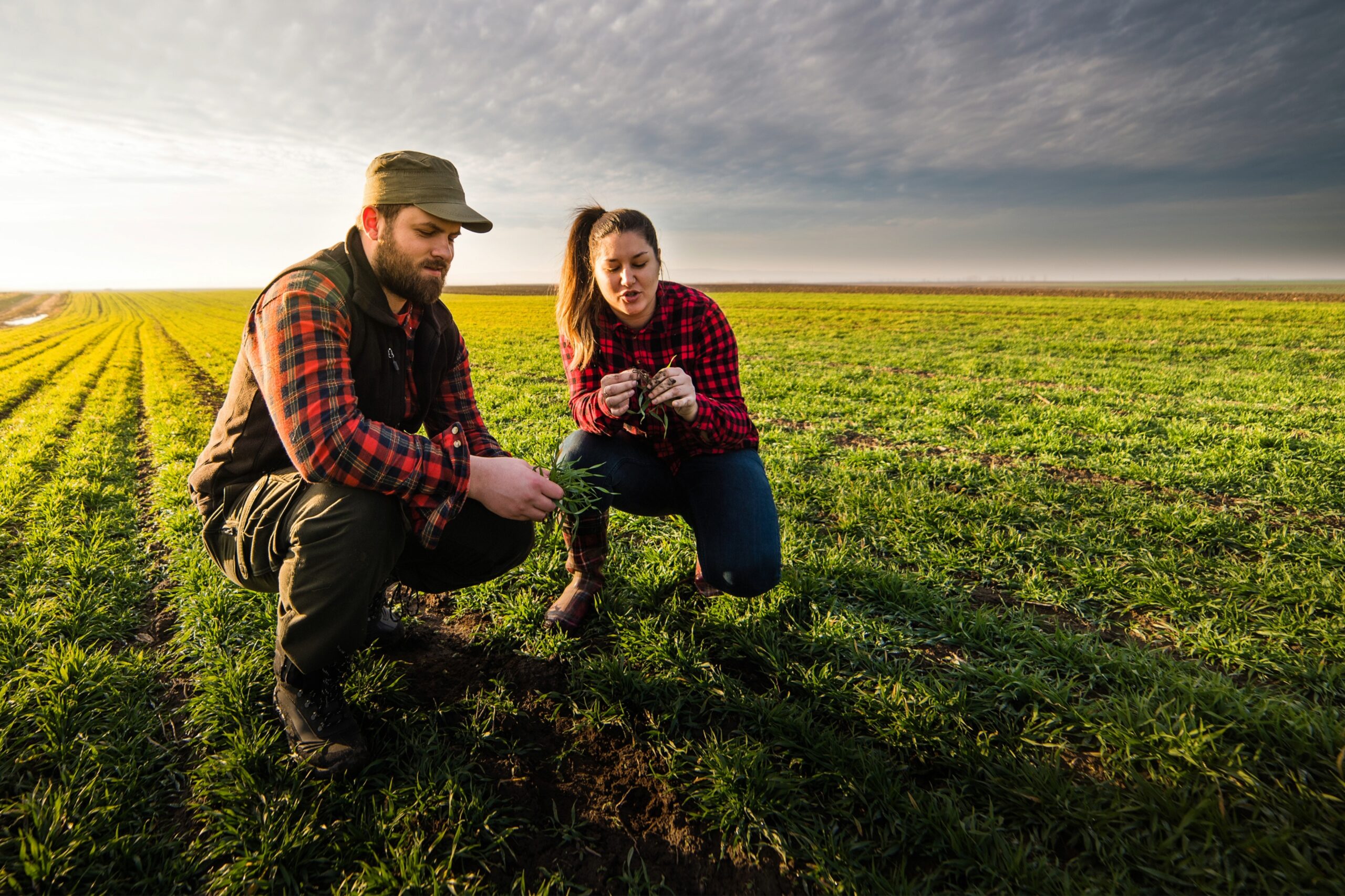 Two farmers, a man and a woman, are kneeling on a field talking to each other while they look at the crops.