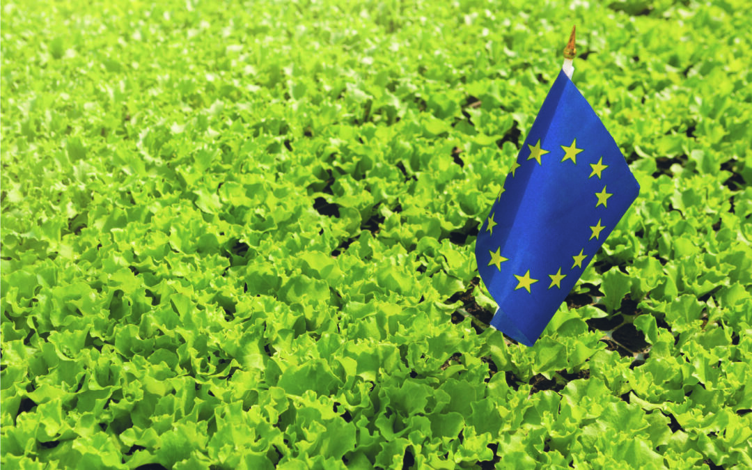 Supporting Farmers Through the Fertiliser Crisis While Rewarding Sustainable Practice – EU Regulation 2026/1768