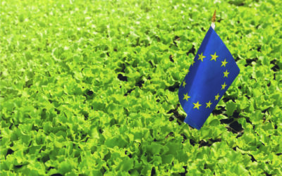 Supporting Farmers Through the Fertiliser Crisis While Rewarding Sustainable Practice – EU Regulation 2026/1768