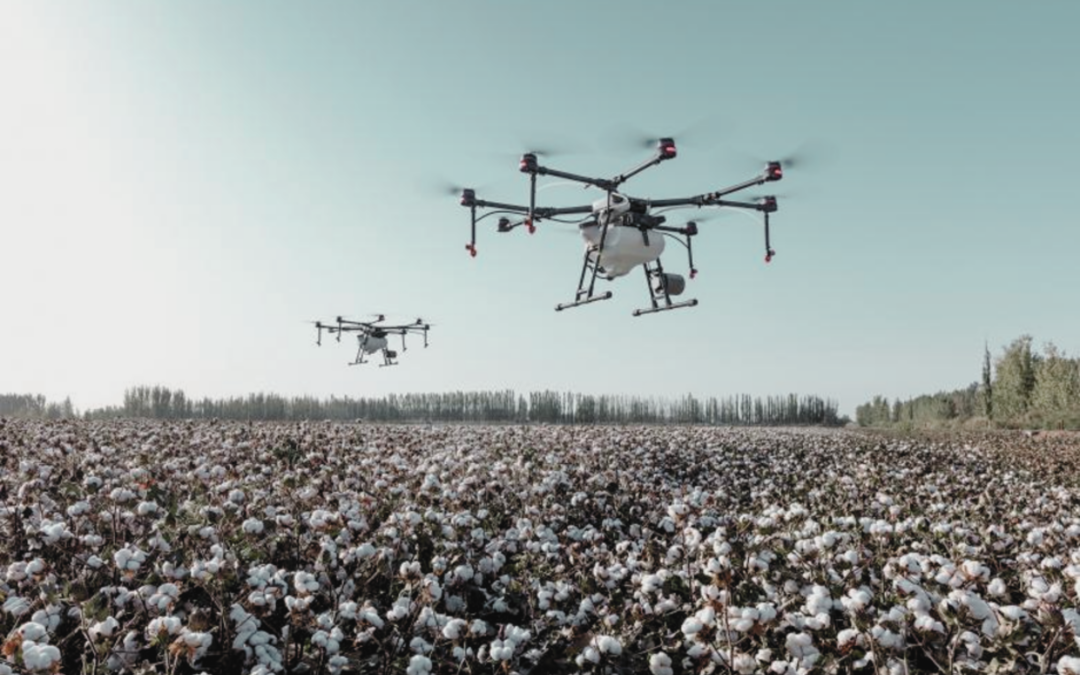 Precision fertilization: The 4 Rs for smarter and more sustainable nutrient management